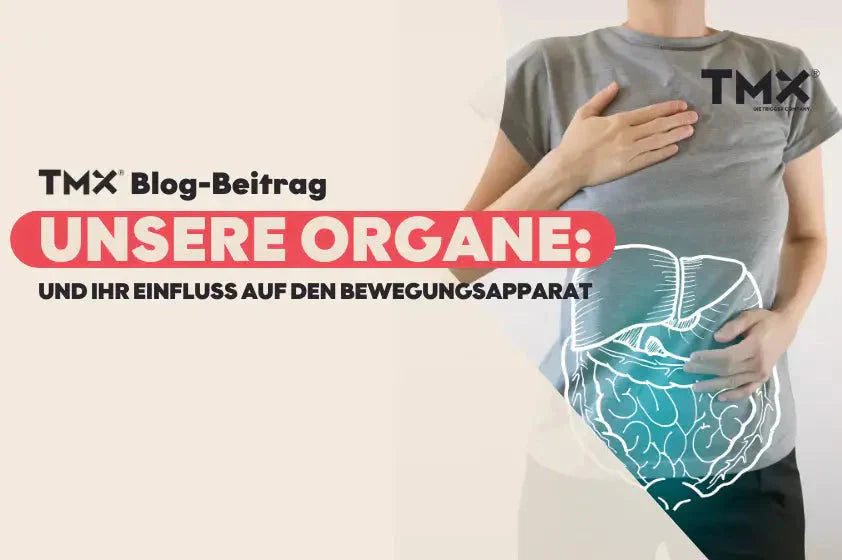 Unsere Organe und ihr Einfluss auf den Bewegungsapparat